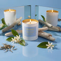 Daydreamer 1-Wick Candle (8oz)