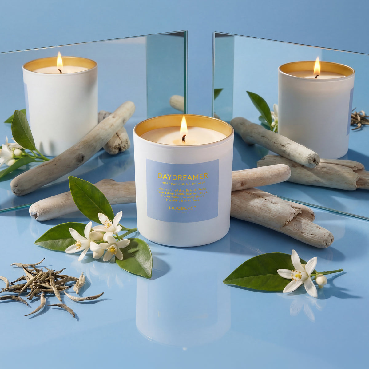 Daydreamer 1-Wick Candle (8oz)