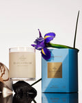 Glasshouse 13.4 oz. Scented Candle